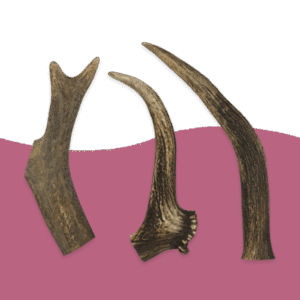 Antlers