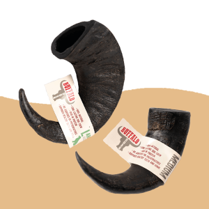 Buffalo Horns