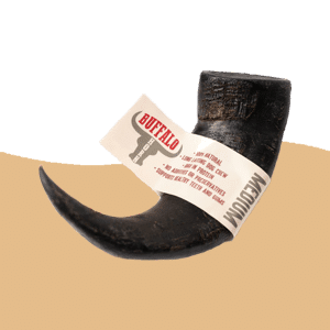 Buffalo Horns