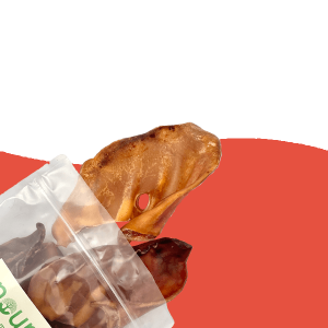 Small Pigs Ears