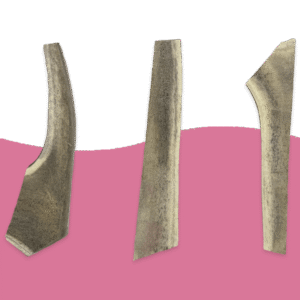Split Antlers
