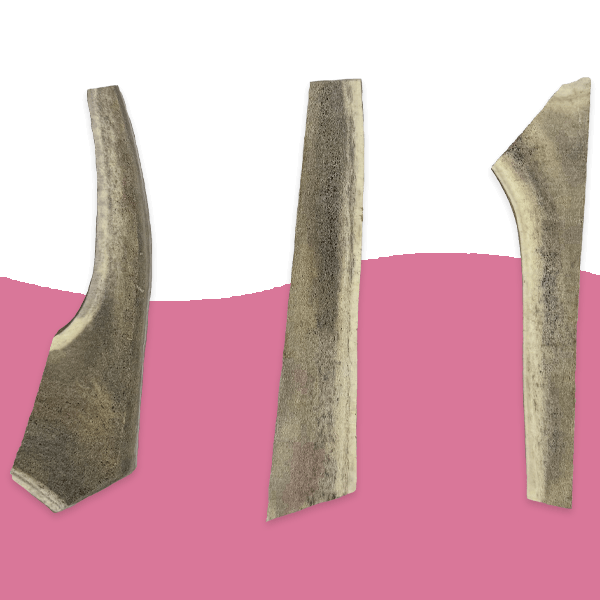 Split Antlers