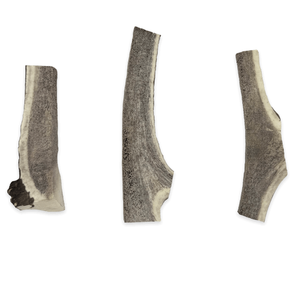 Split Antlers - Image 3