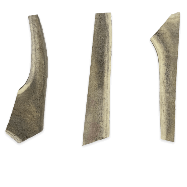 Split Antlers - Image 4