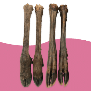 Large Venison (Deer) Legs – with fur/hair & no fur/hair