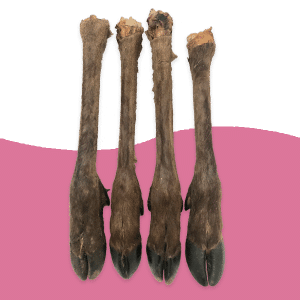 Large Venison (Deer) Legs – with fur/hair & no fur/hair