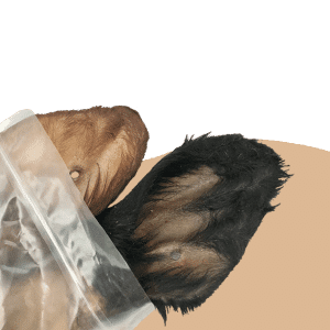 Hairy Cow Ears