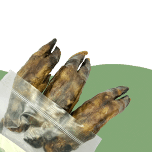 Wild Boar Legs