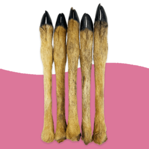 Small Venison Roe(Deer) Legs with fur/hair