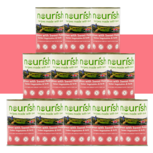Grain Free Salmon with Sweet Potato, Garden Vegetables & Herbs Pâté Wet Dog Food