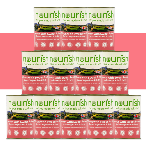 Grain Free Salmon with Sweet Potato, Garden Vegetables & Herbs Pâté Wet Dog Food - Image 2