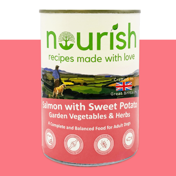 Grain Free Salmon with Sweet Potato, Garden Vegetables & Herbs Pâté Wet Dog Food